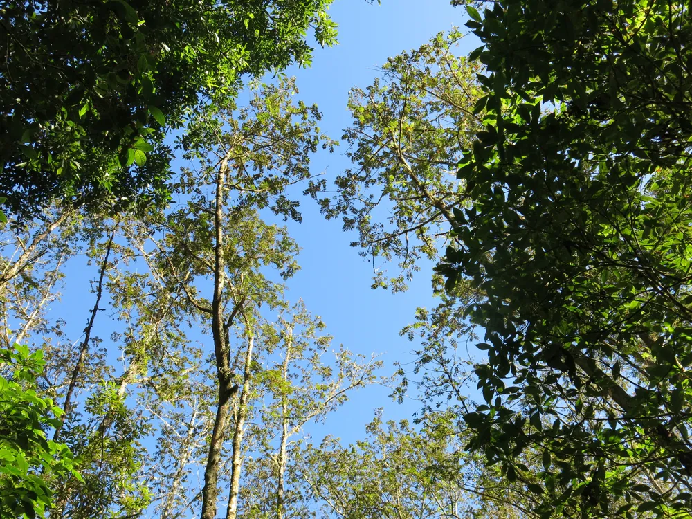 Sierra de Bahoruco National Park