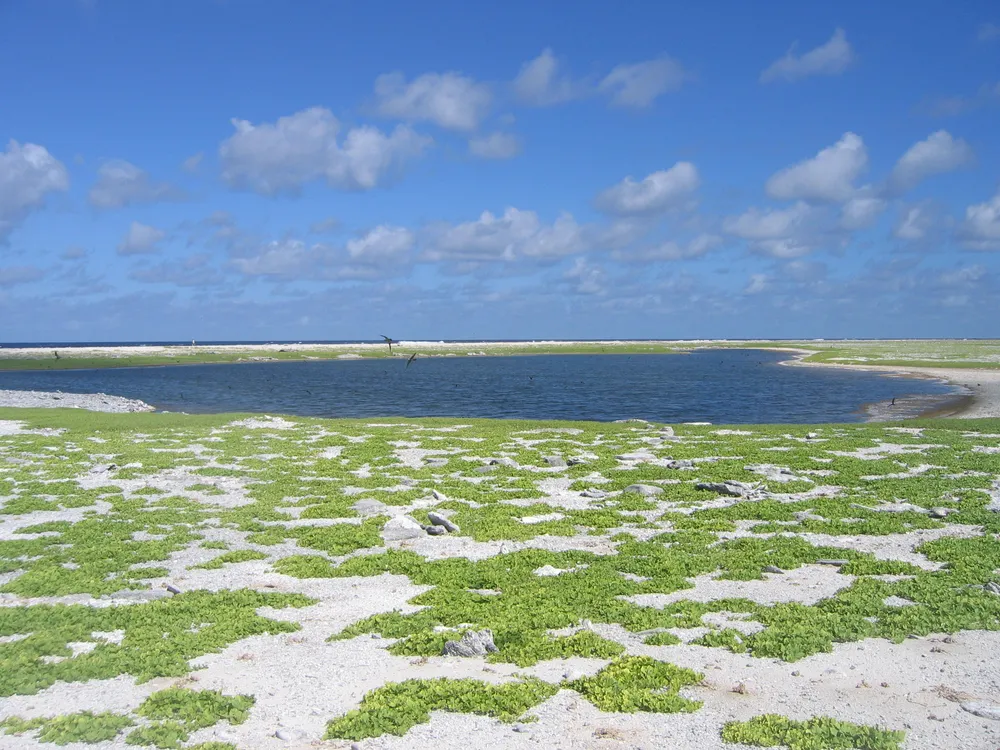 Birnie Island