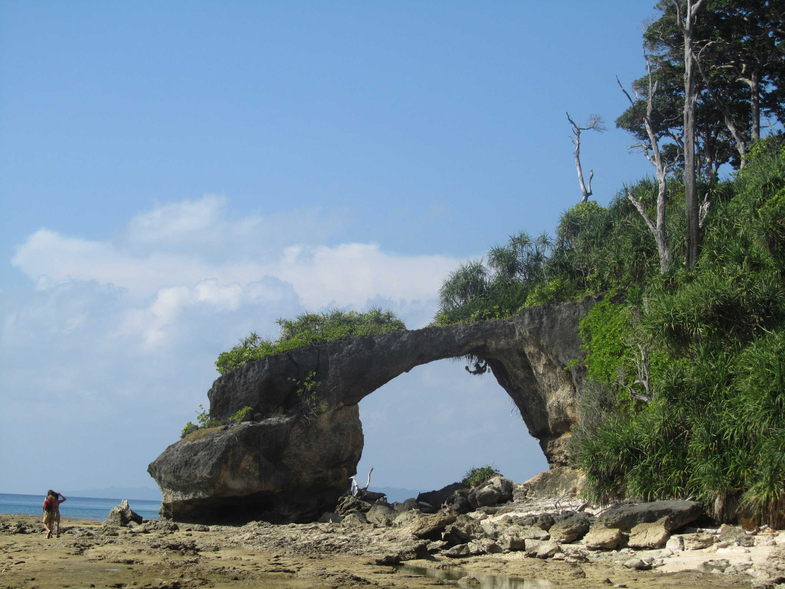 Neill Island