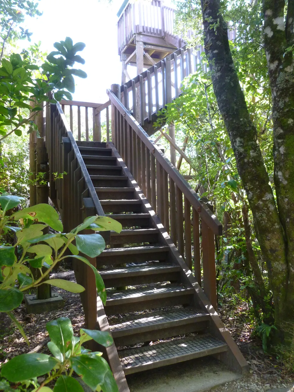 Motuara Island