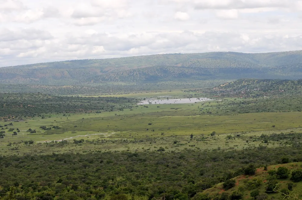 Akagera National Park