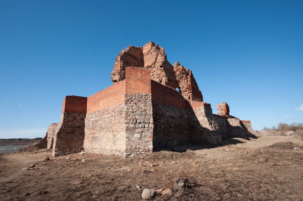 Bobrowniki Castle