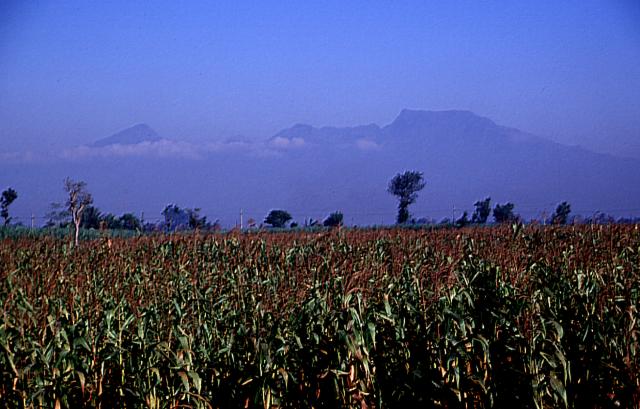 Mount Wilis