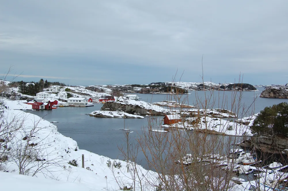 Algrøyna