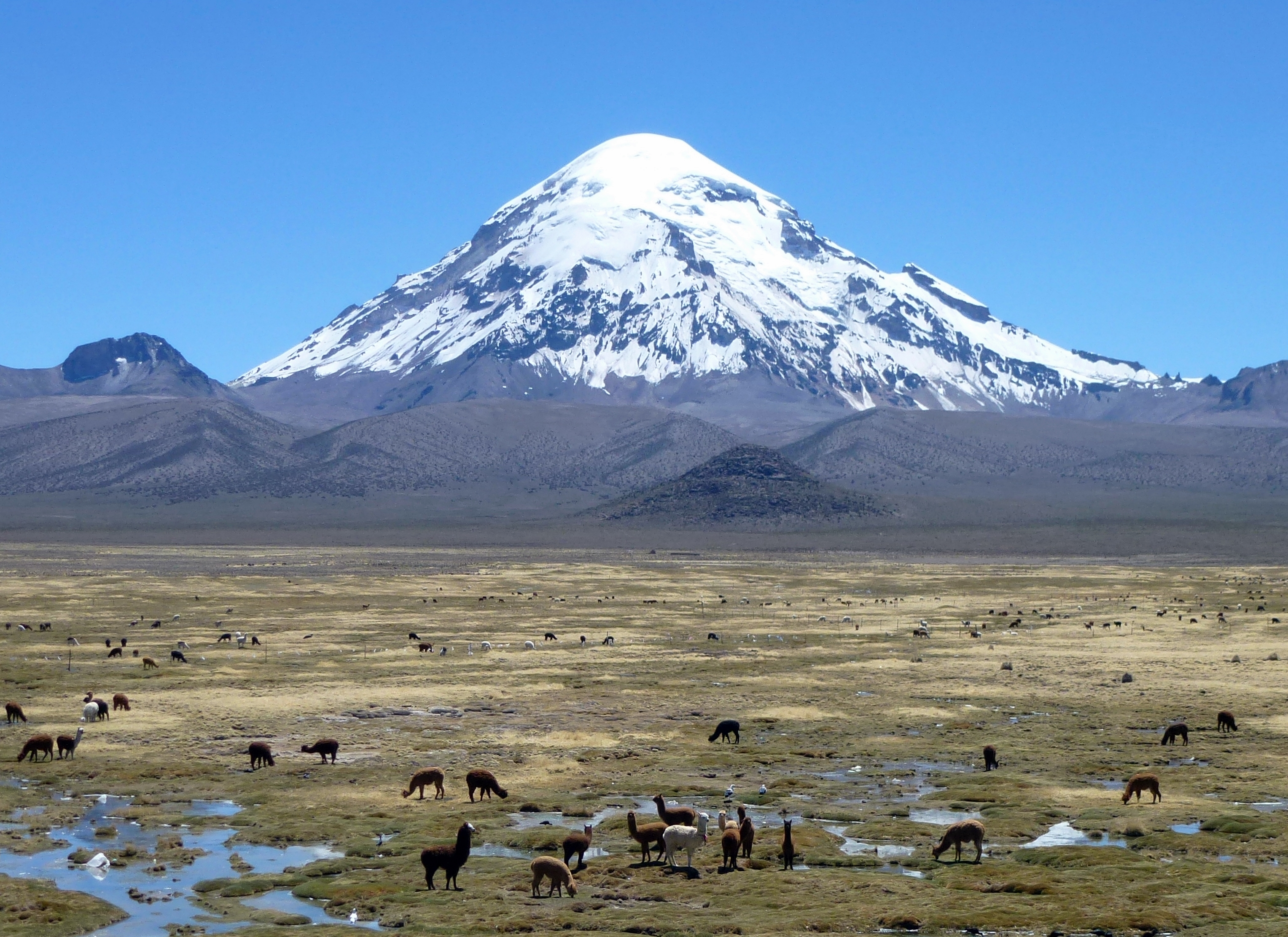 Nevado Sajama
