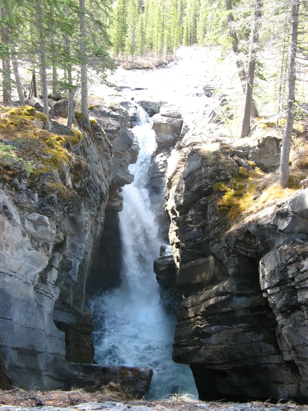 Siffleur Falls