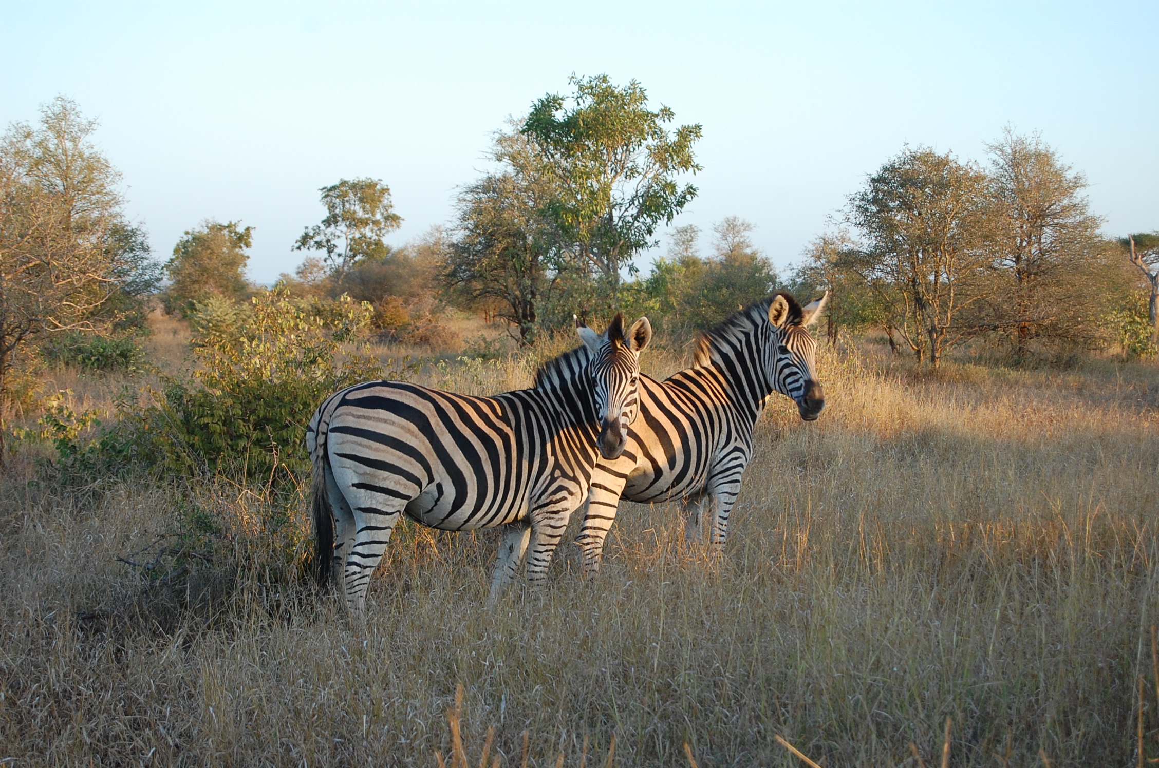 Greater Kruger National Park