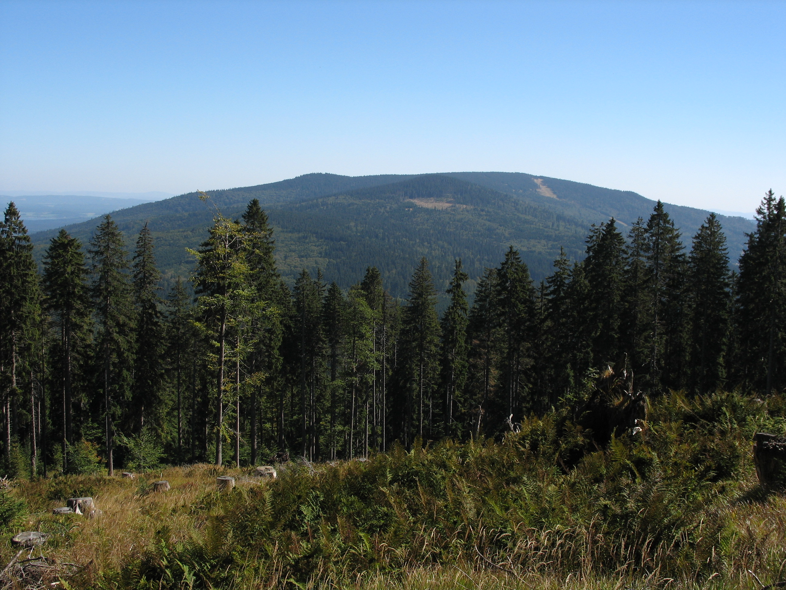 Hochficht