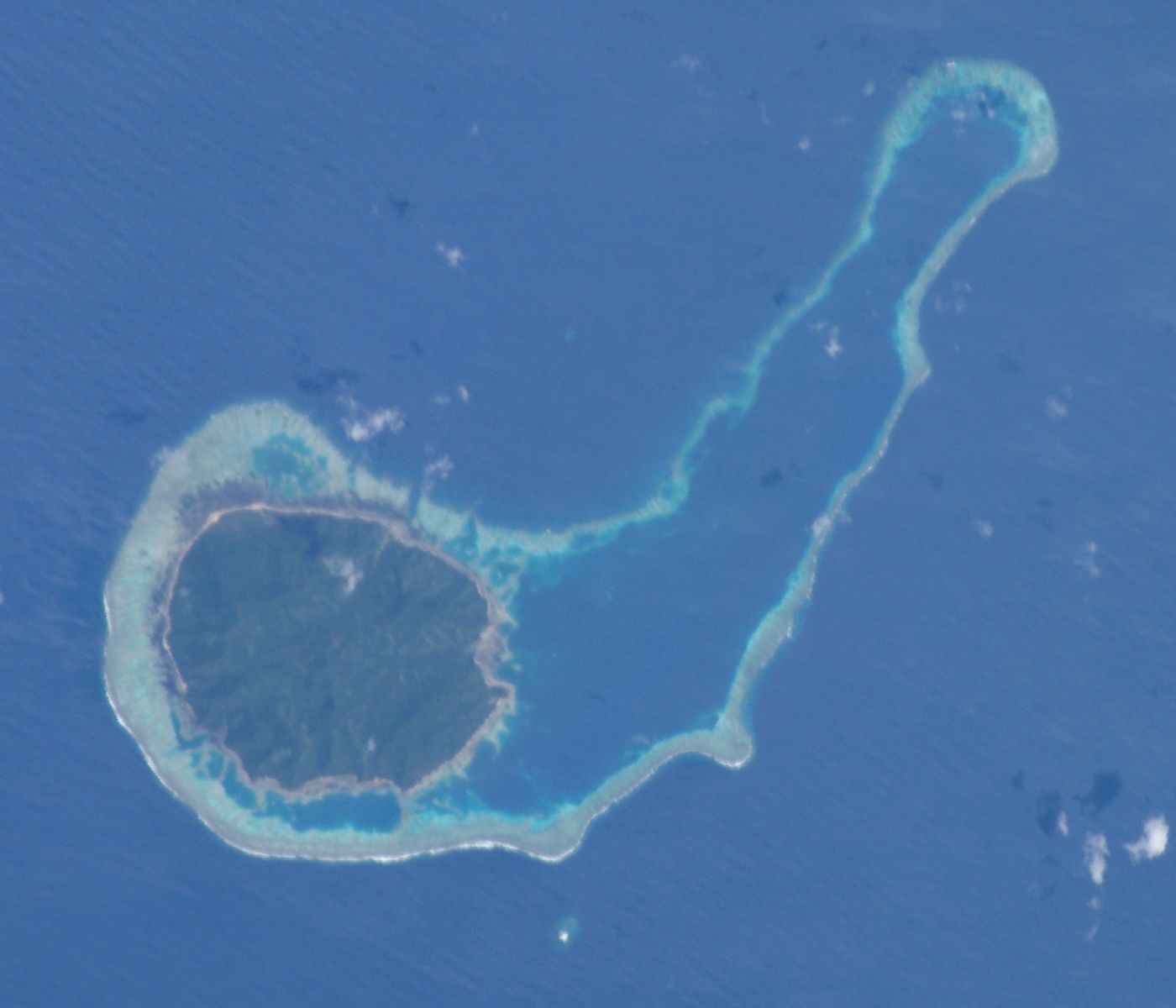 Kanacea