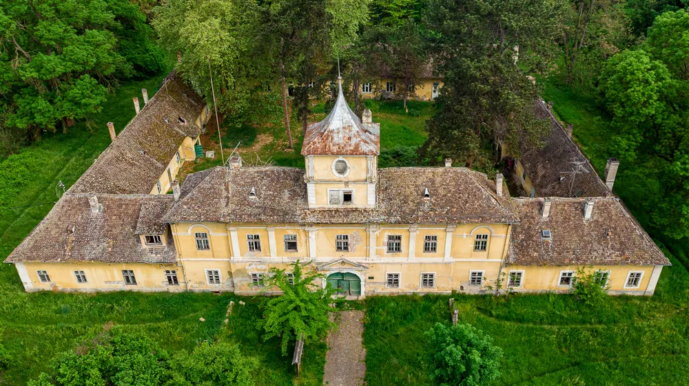 Savoy Castle, Bilje