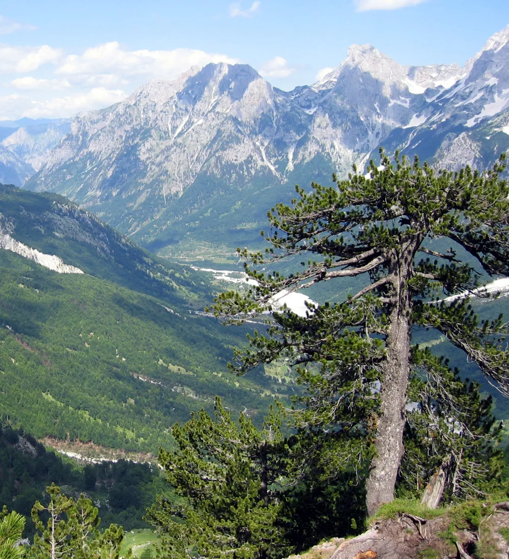 Accursed Mountains, Albania