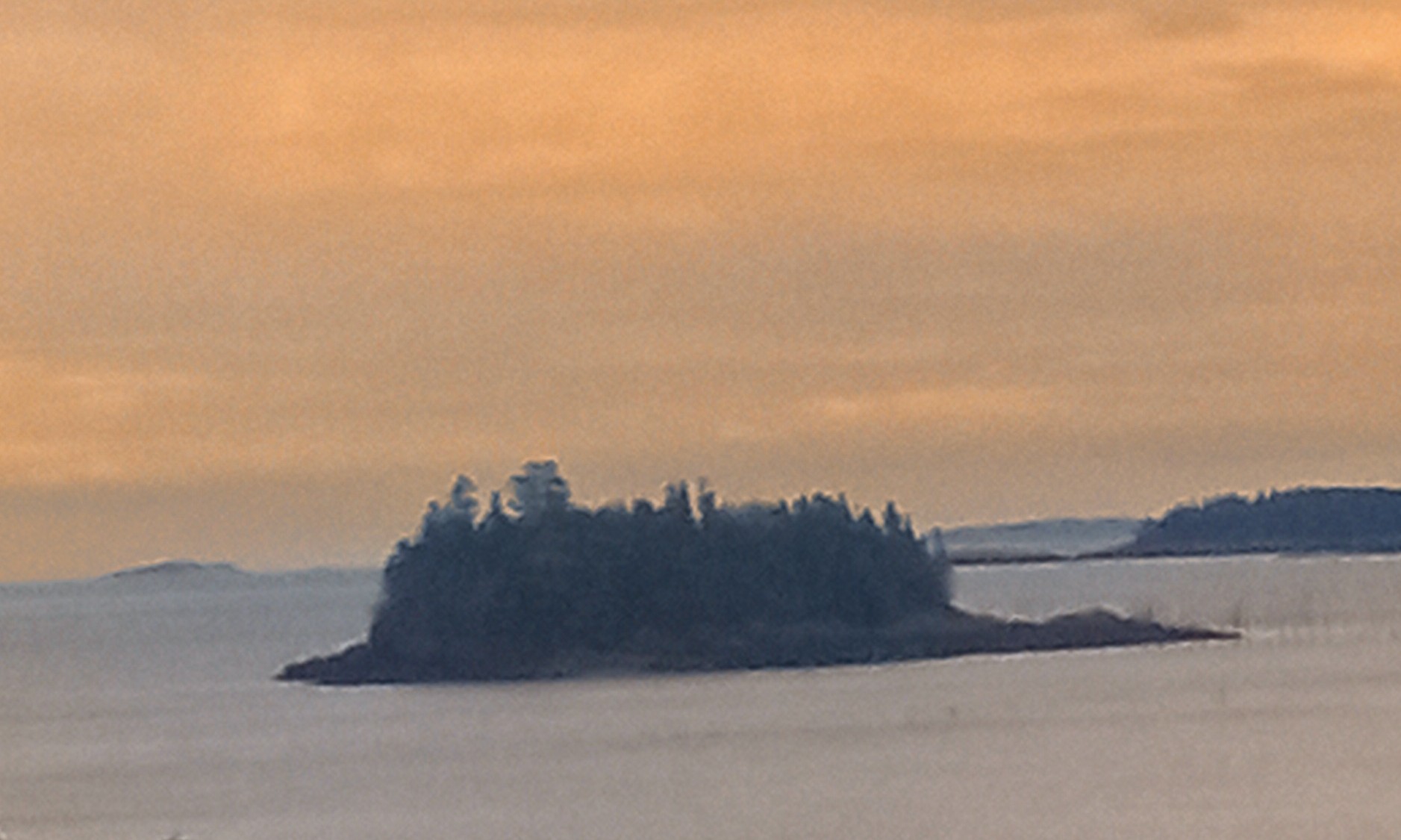 Dinner Island