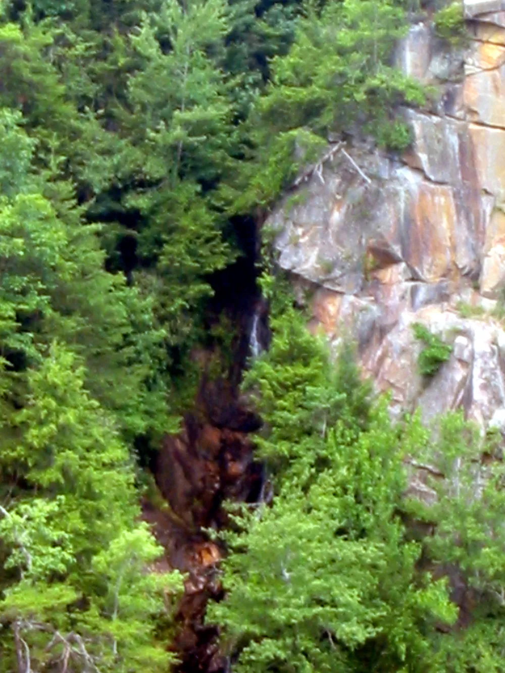 Caledonia Cascade