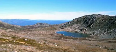 Alpine Way