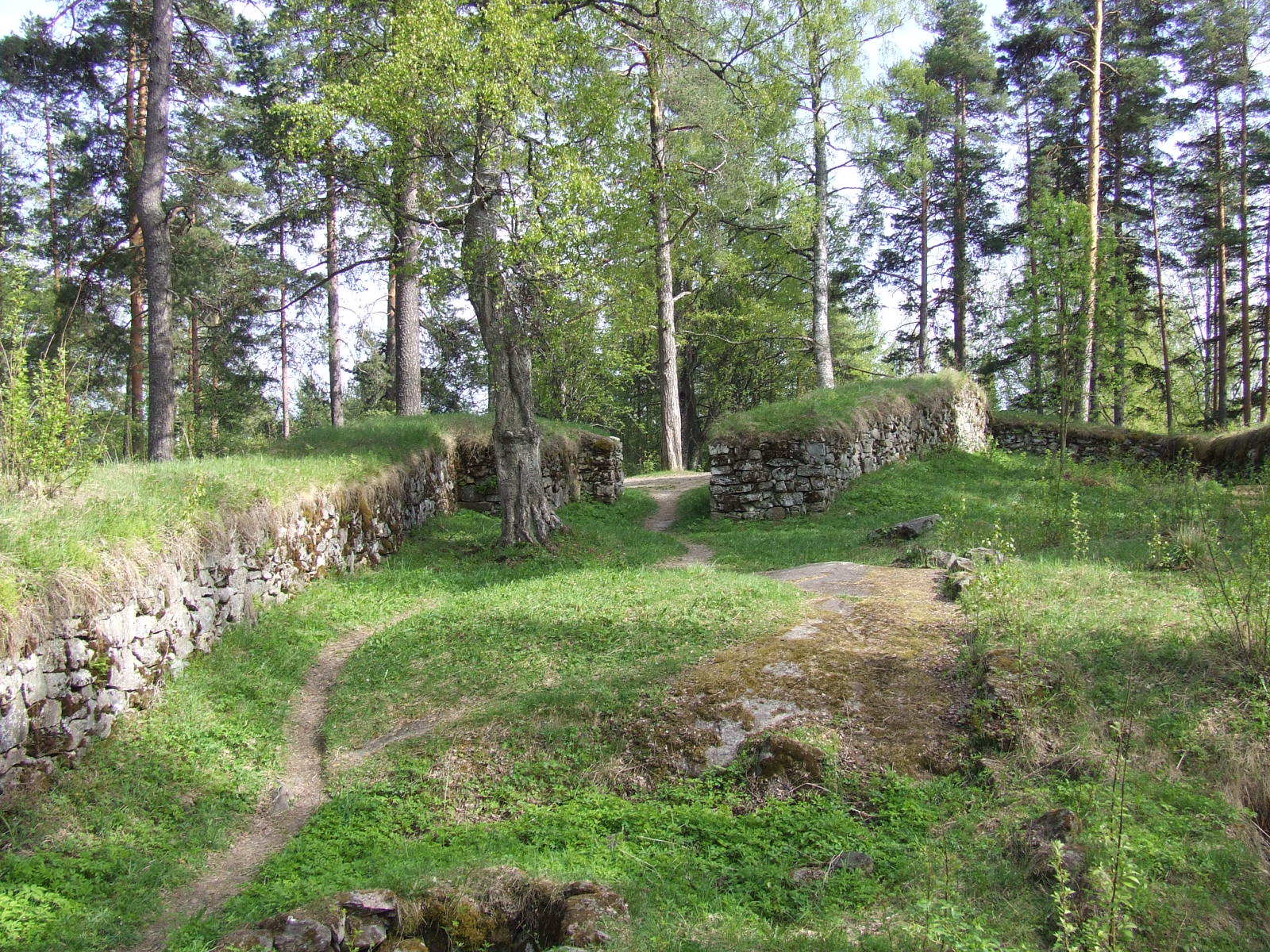 Brahelinna