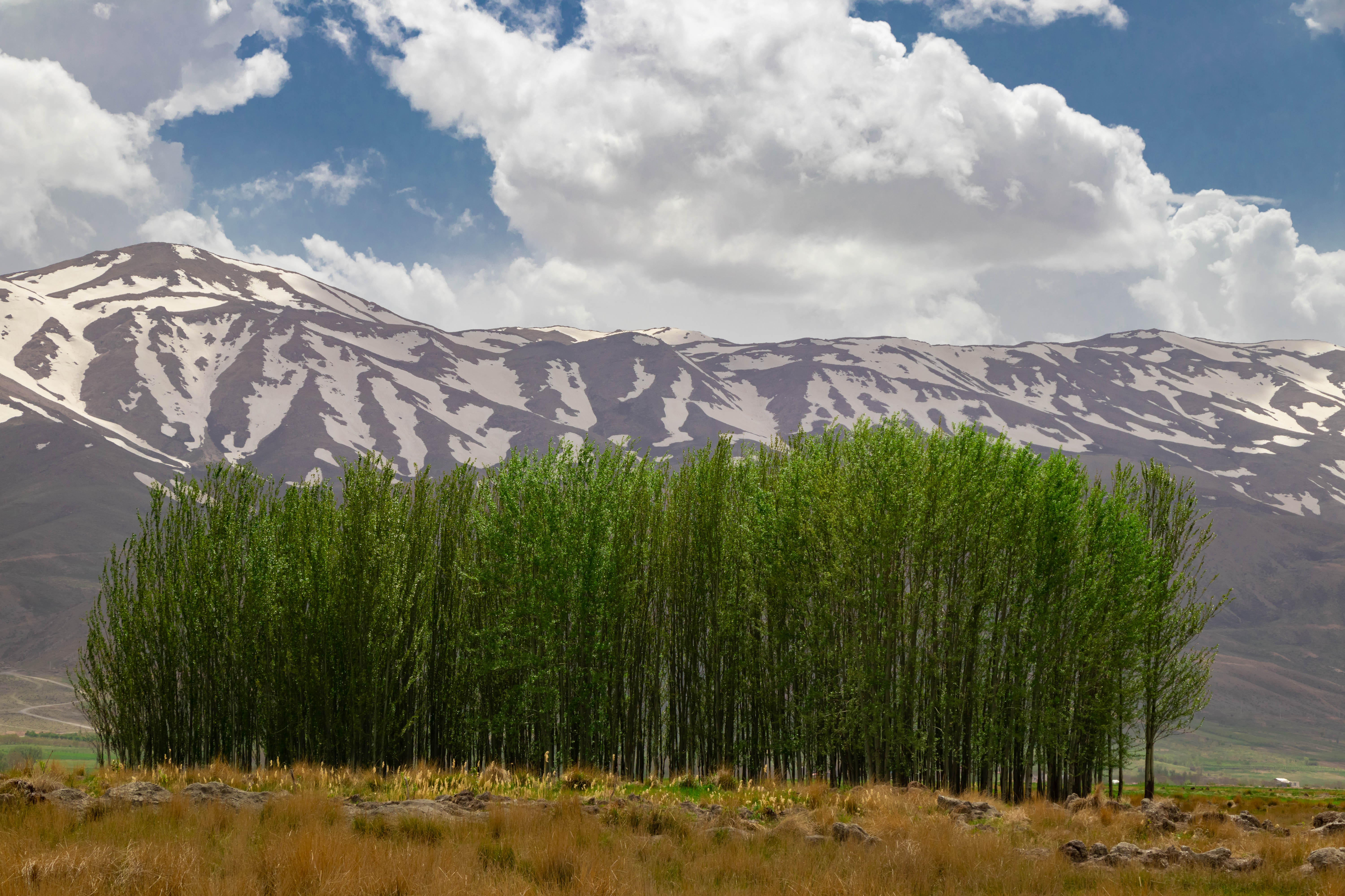 Choghakhor Lake