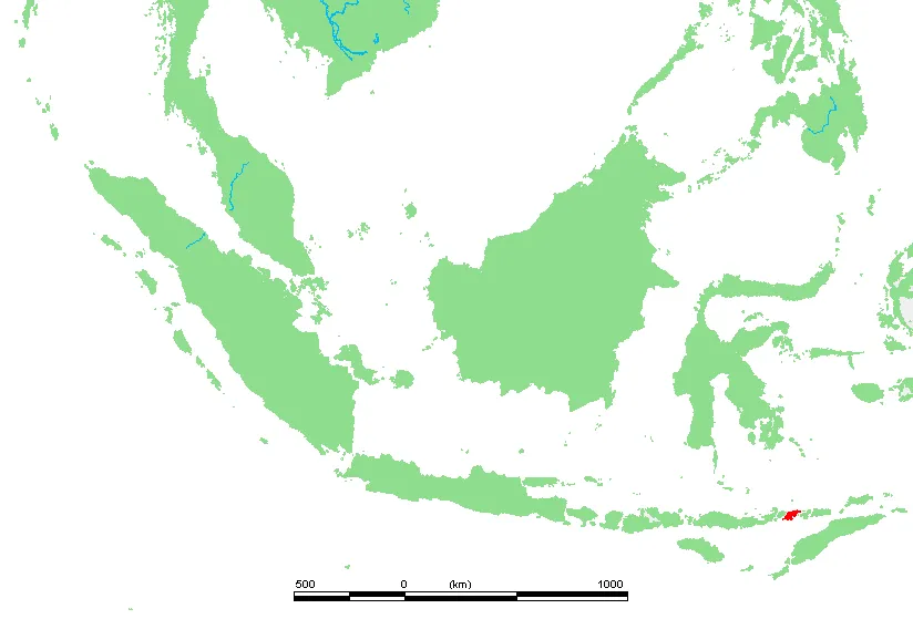 Lembata Island