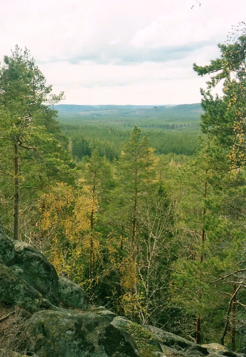 Norra Kvill National Park