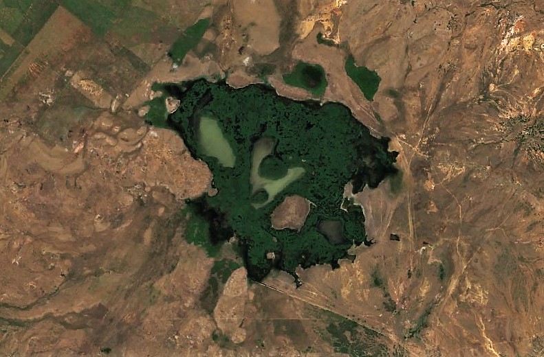 Shoshkakol