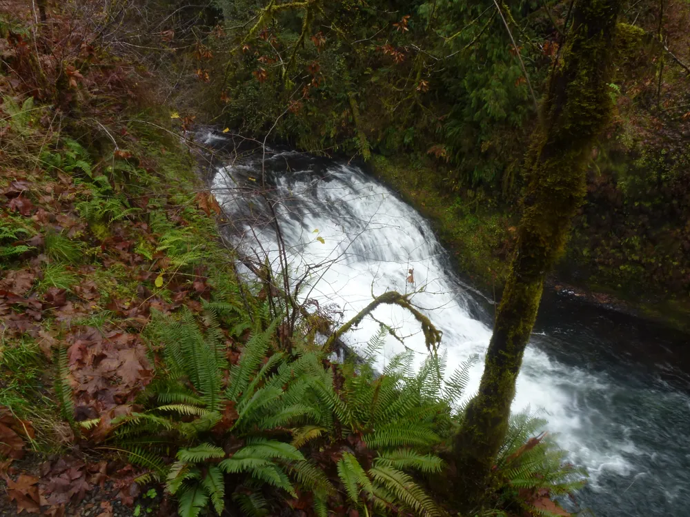 Drake Falls