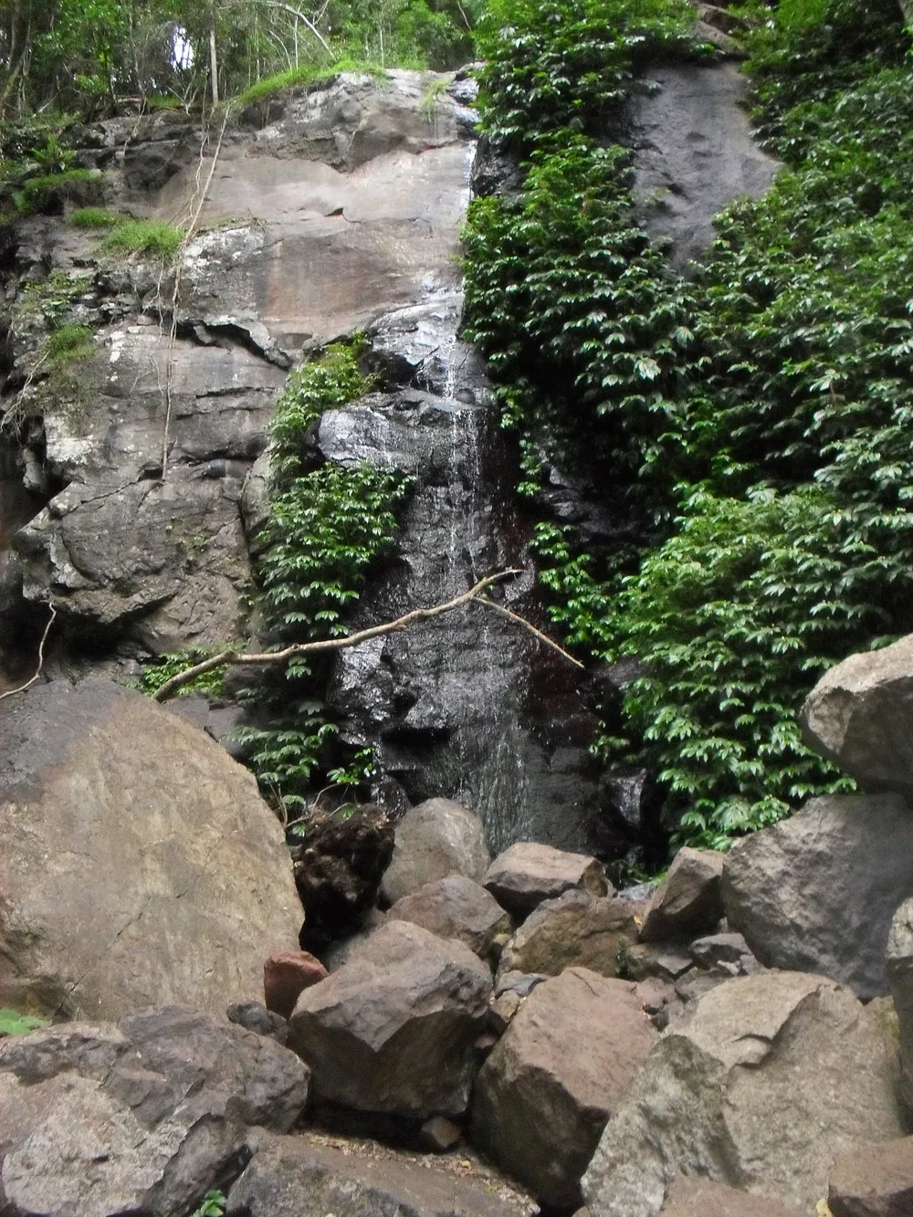 Festoon Falls