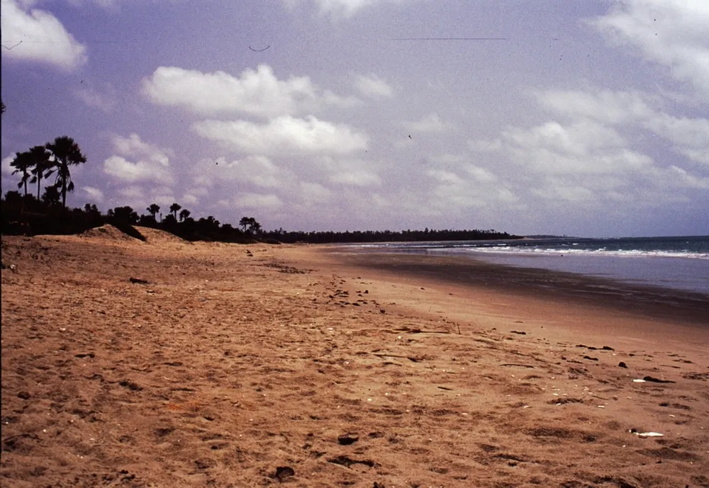 Gunjur, The Gambia