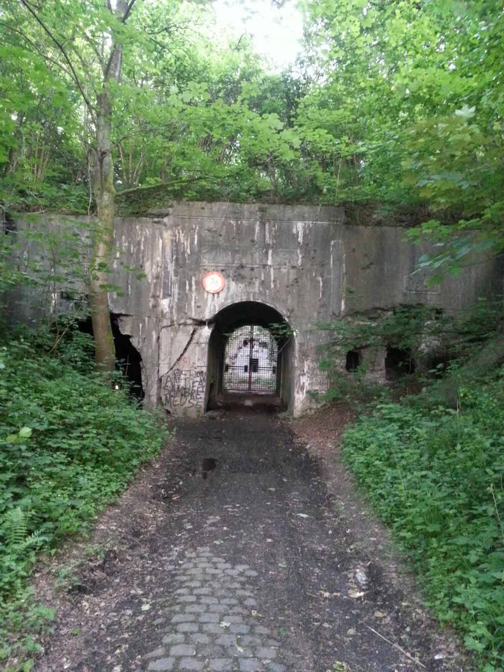 Fort de Dave