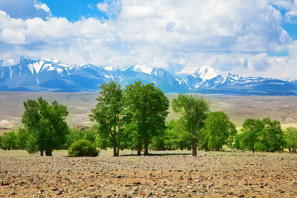 Golden Mountains of Altai