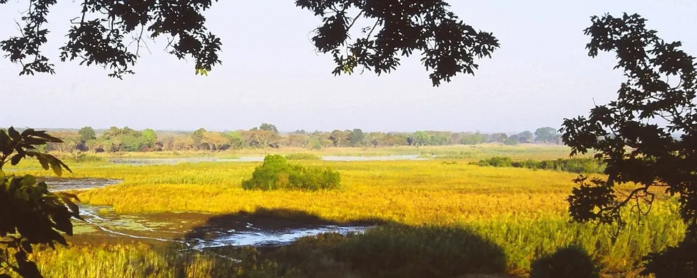 Kasanka National Park