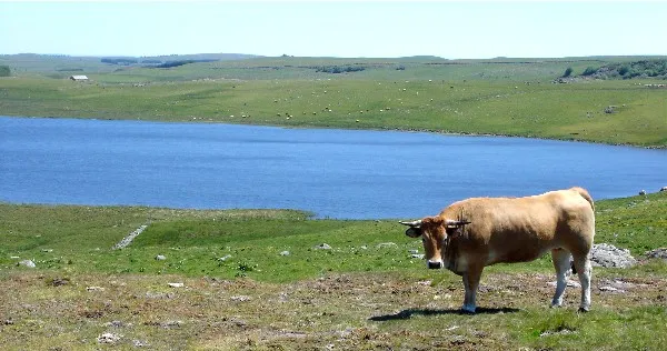 Lac de Saint-Andéol