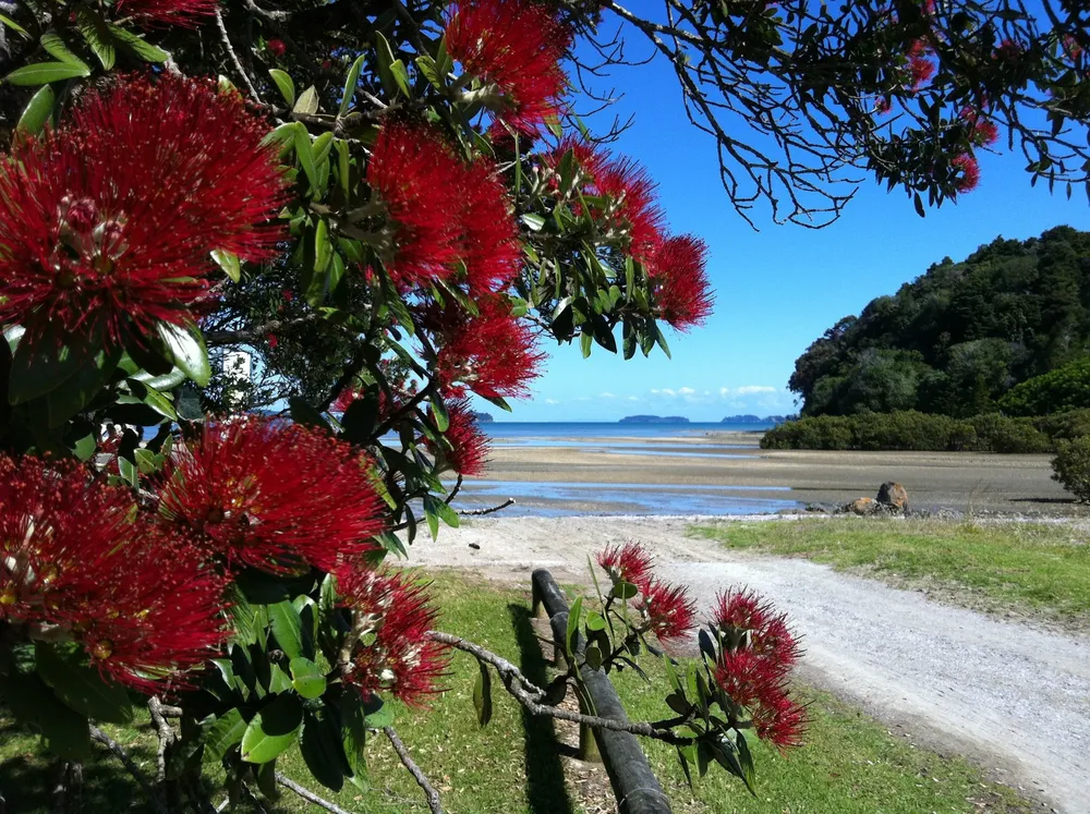 Baddeleys Beach