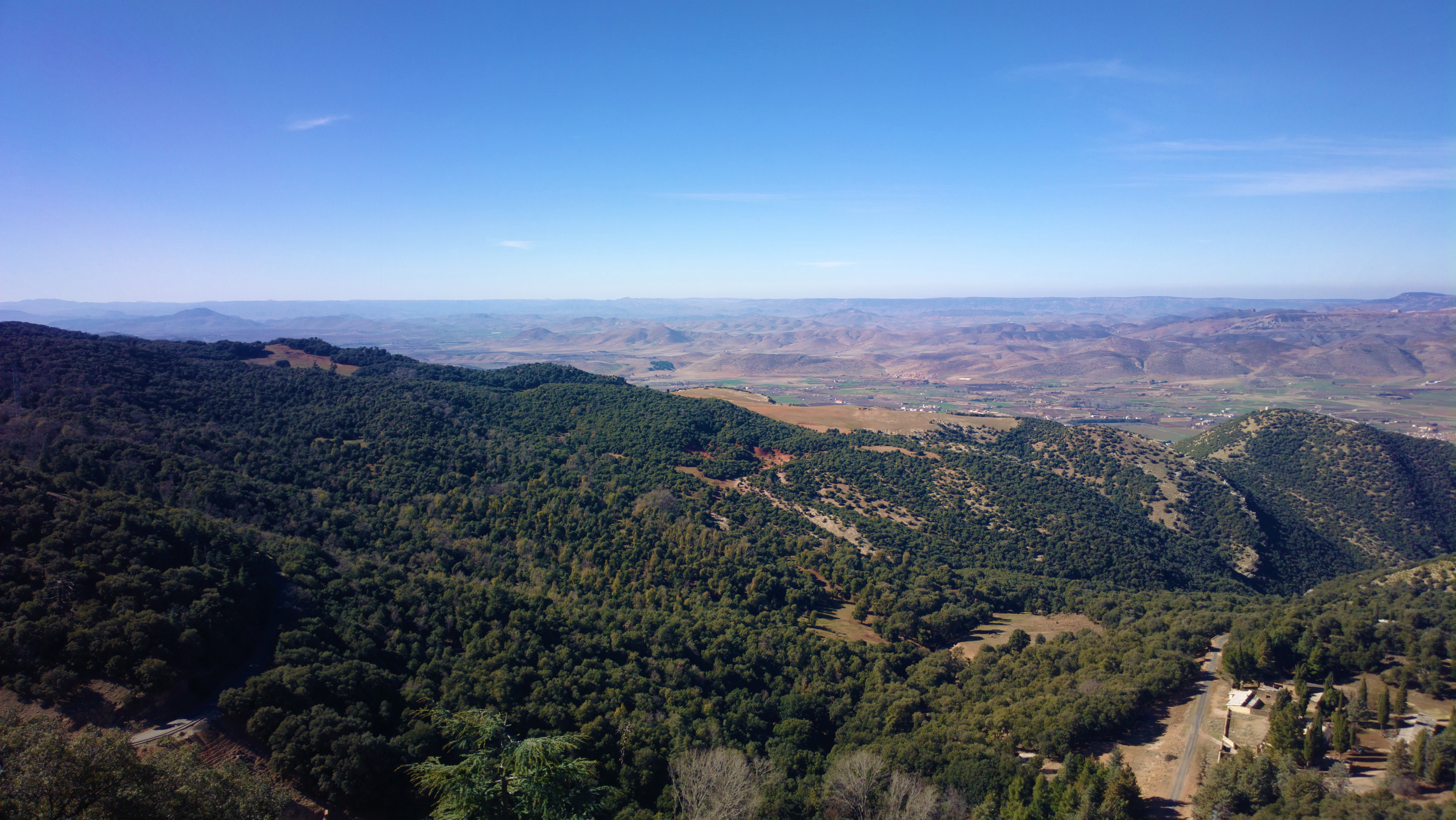 Ifrane National Park