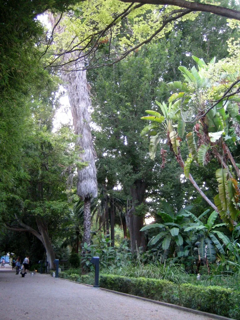 Jardín Botánico de la Universidad de Valencia