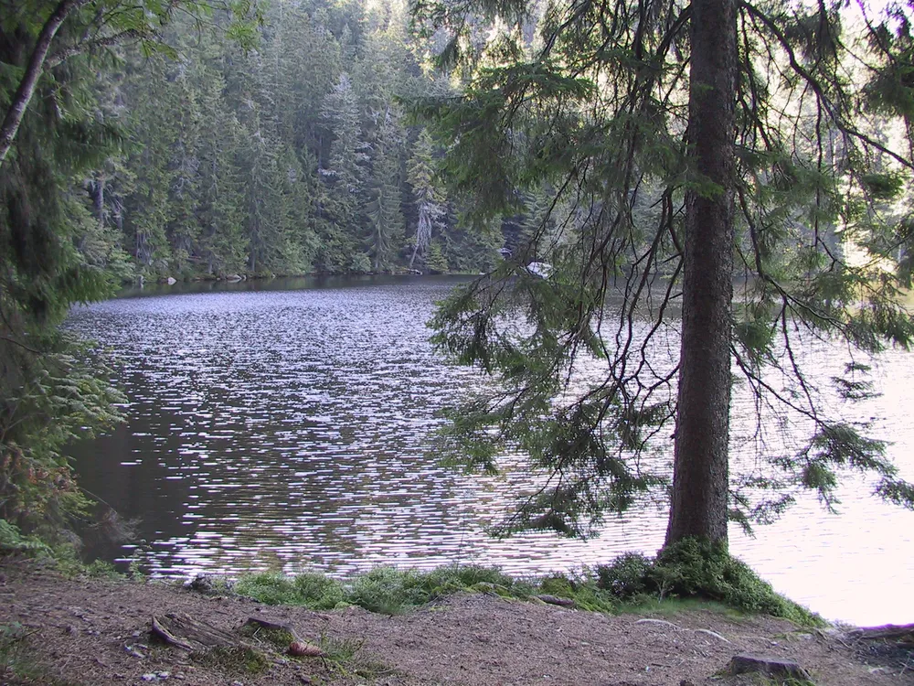 Glaswaldsee