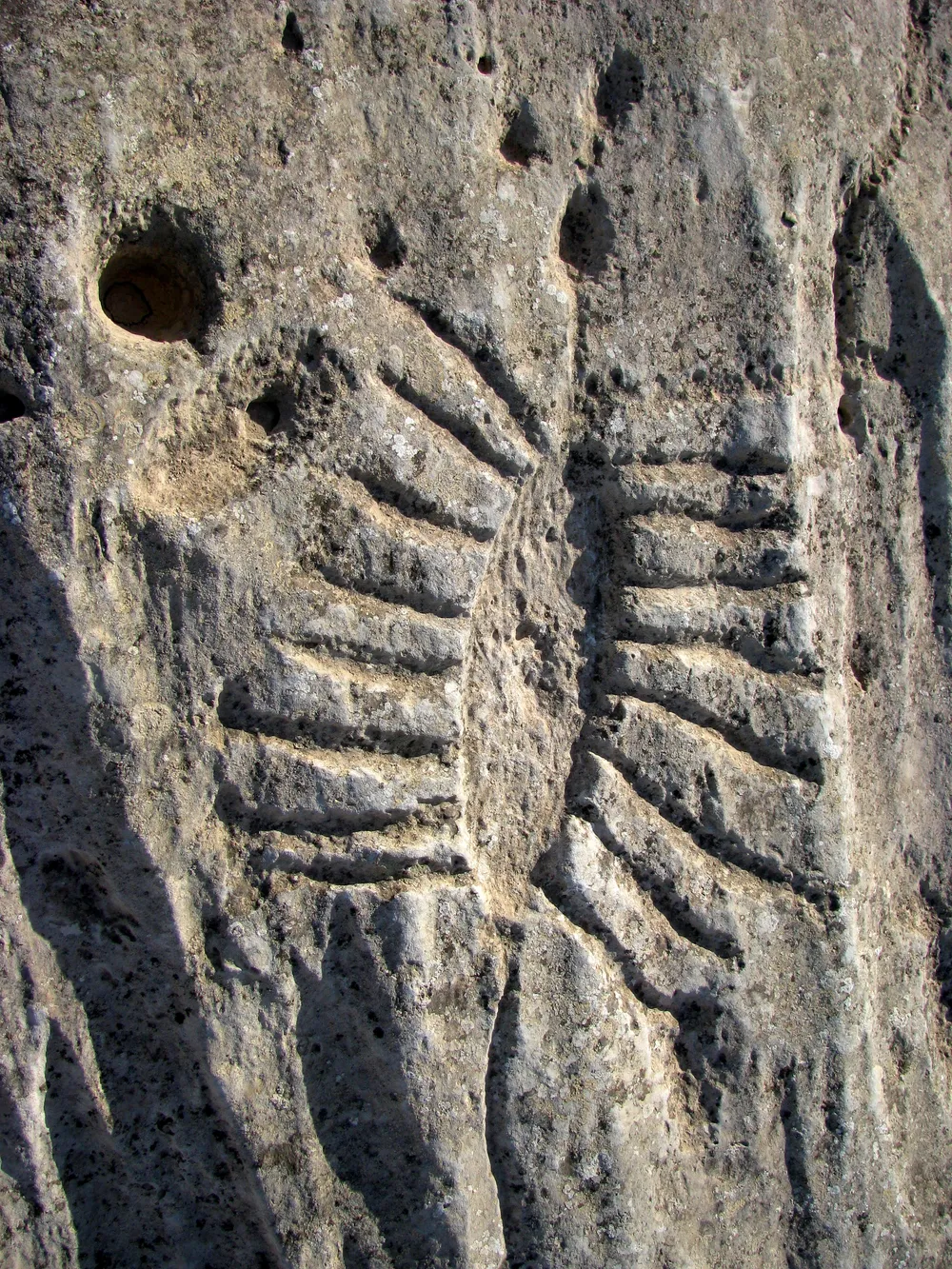Al Shamal, Qatar