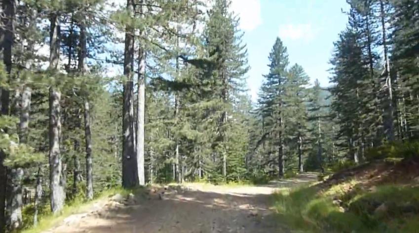 Pindus National Park