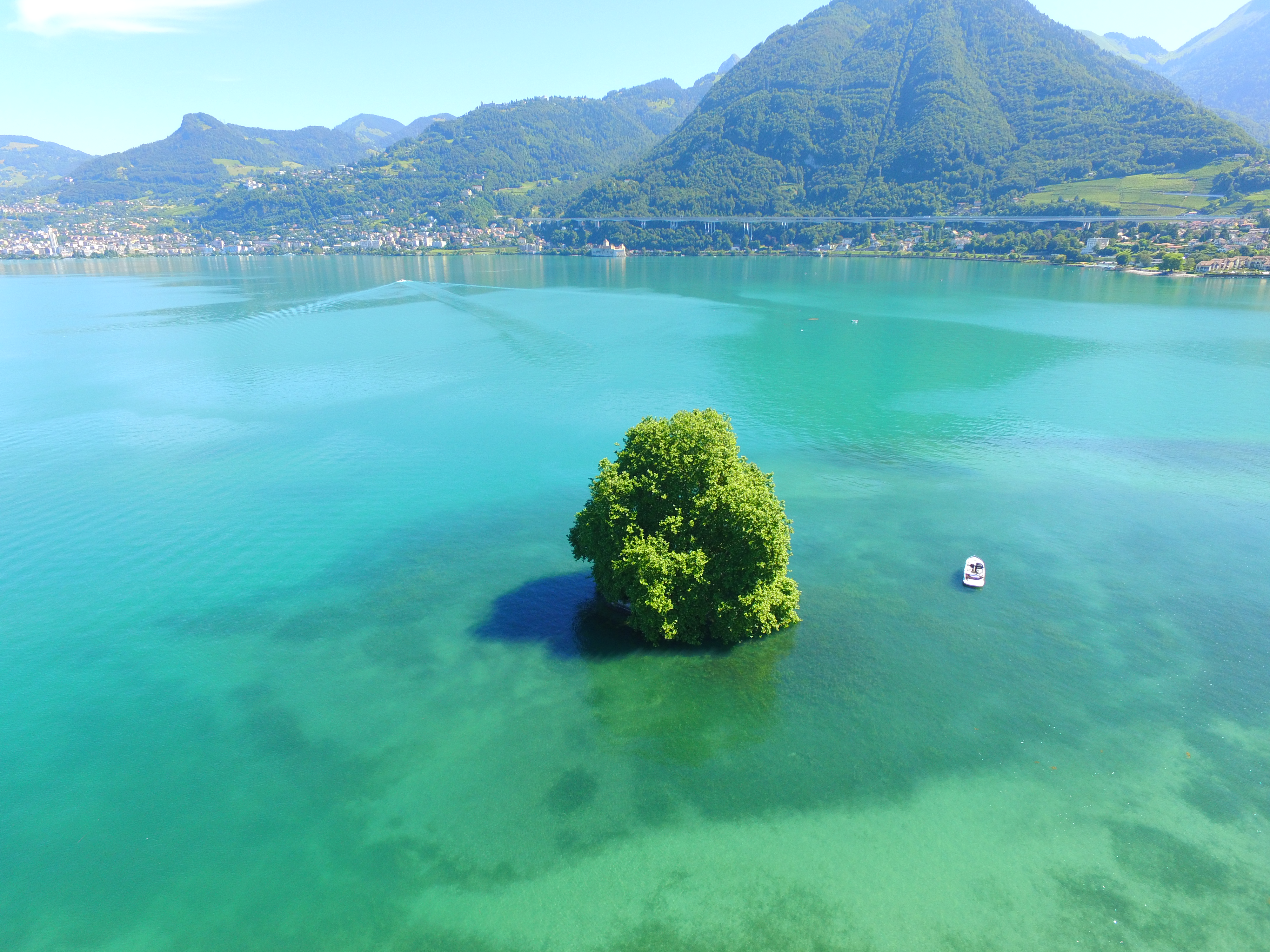 Île de Peilz