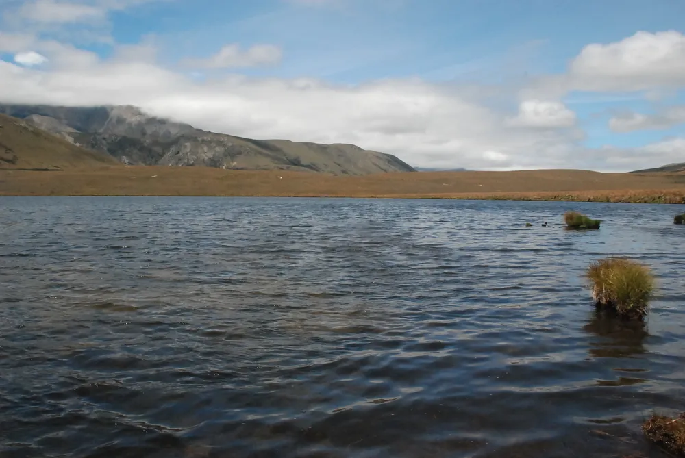 Lake Emily