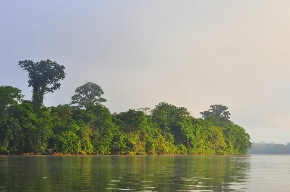 Guiana Amazonian Park