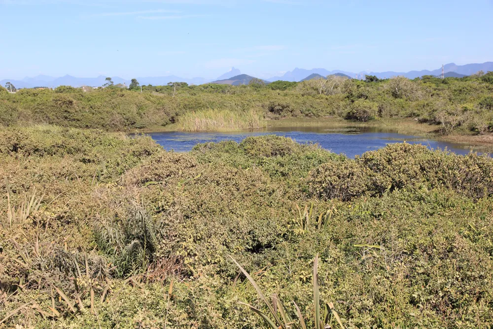Restinga de Jurubatiba National Park