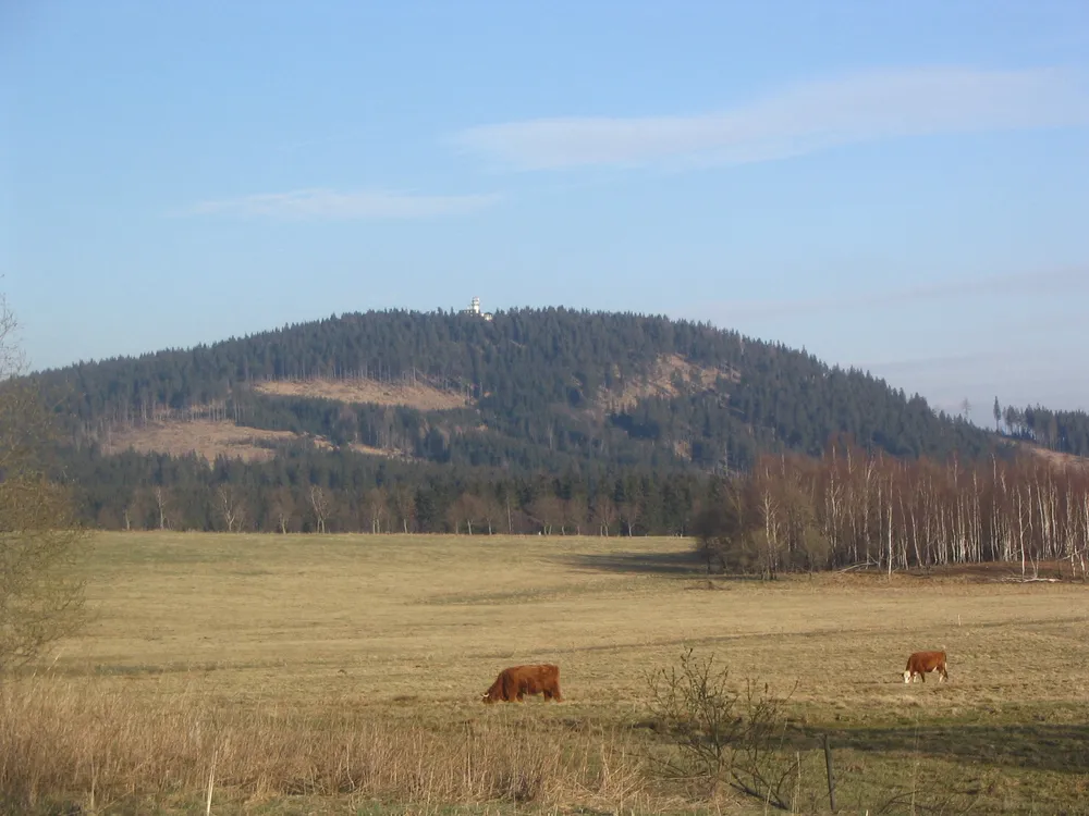 Plešivec