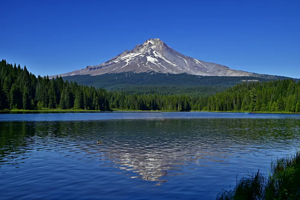 Mount Hood