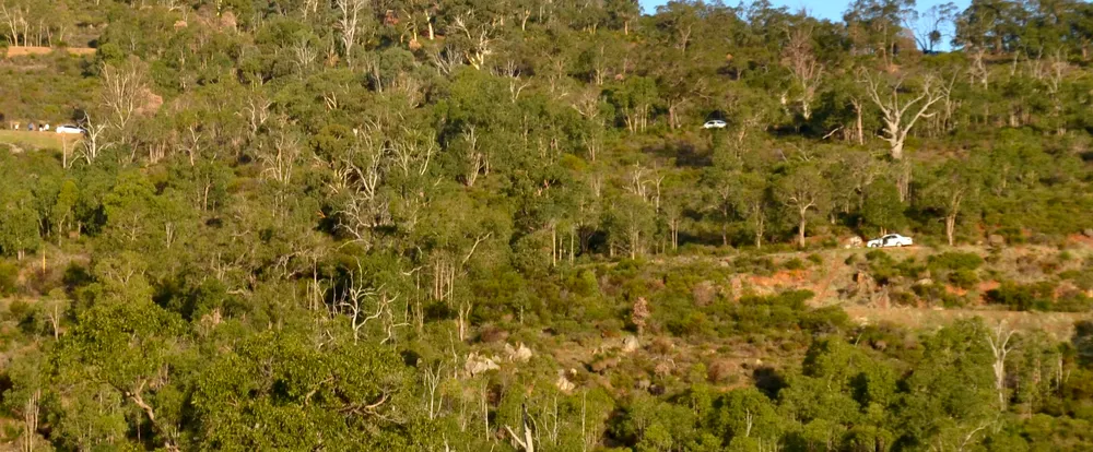 Gooseberry Hill National Park