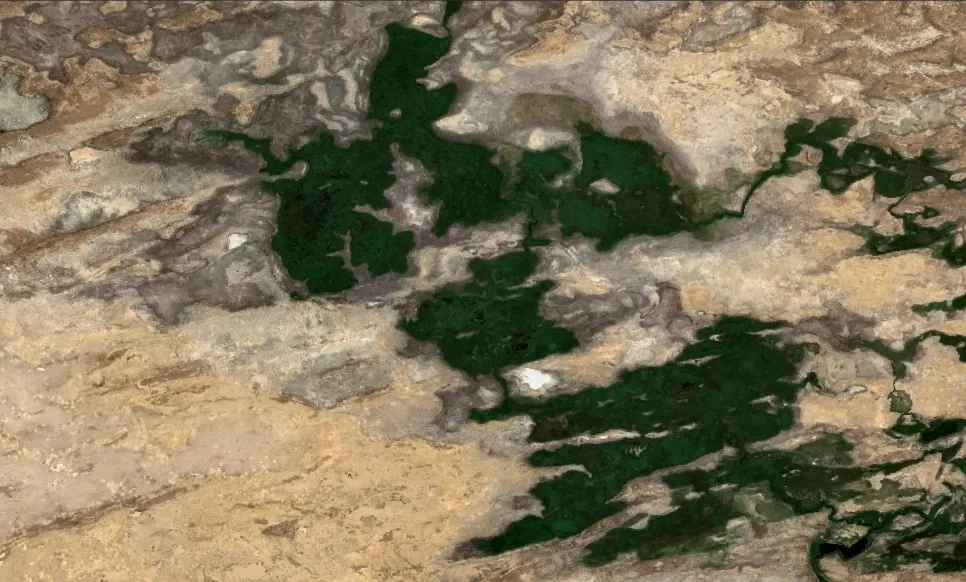 Telikol