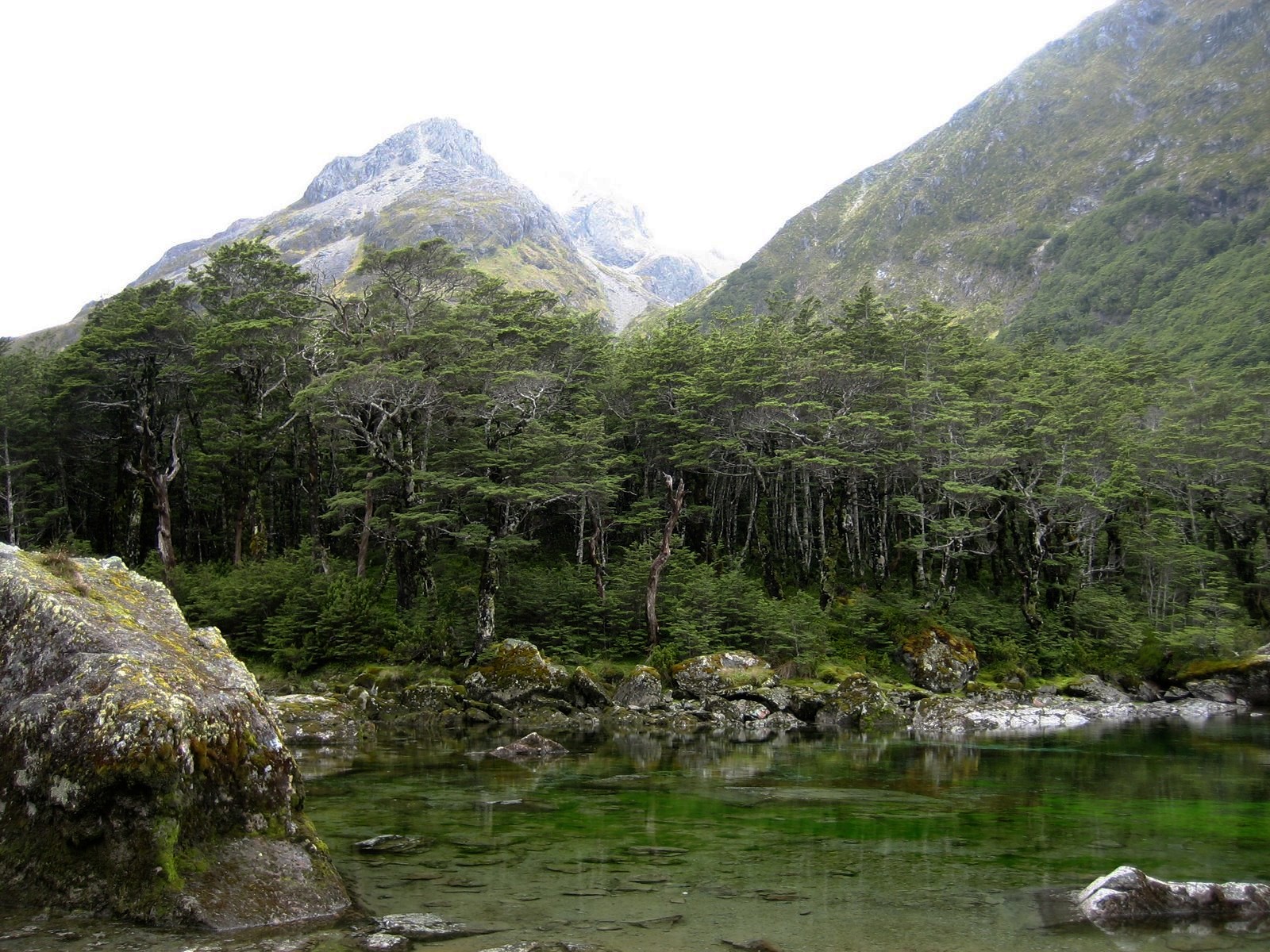 Rotomairewhenua / Blue Lake