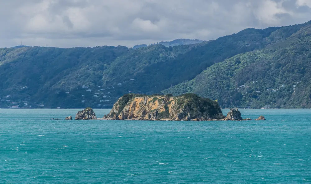Mākaro / Ward Island