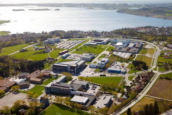 University of Stavanger