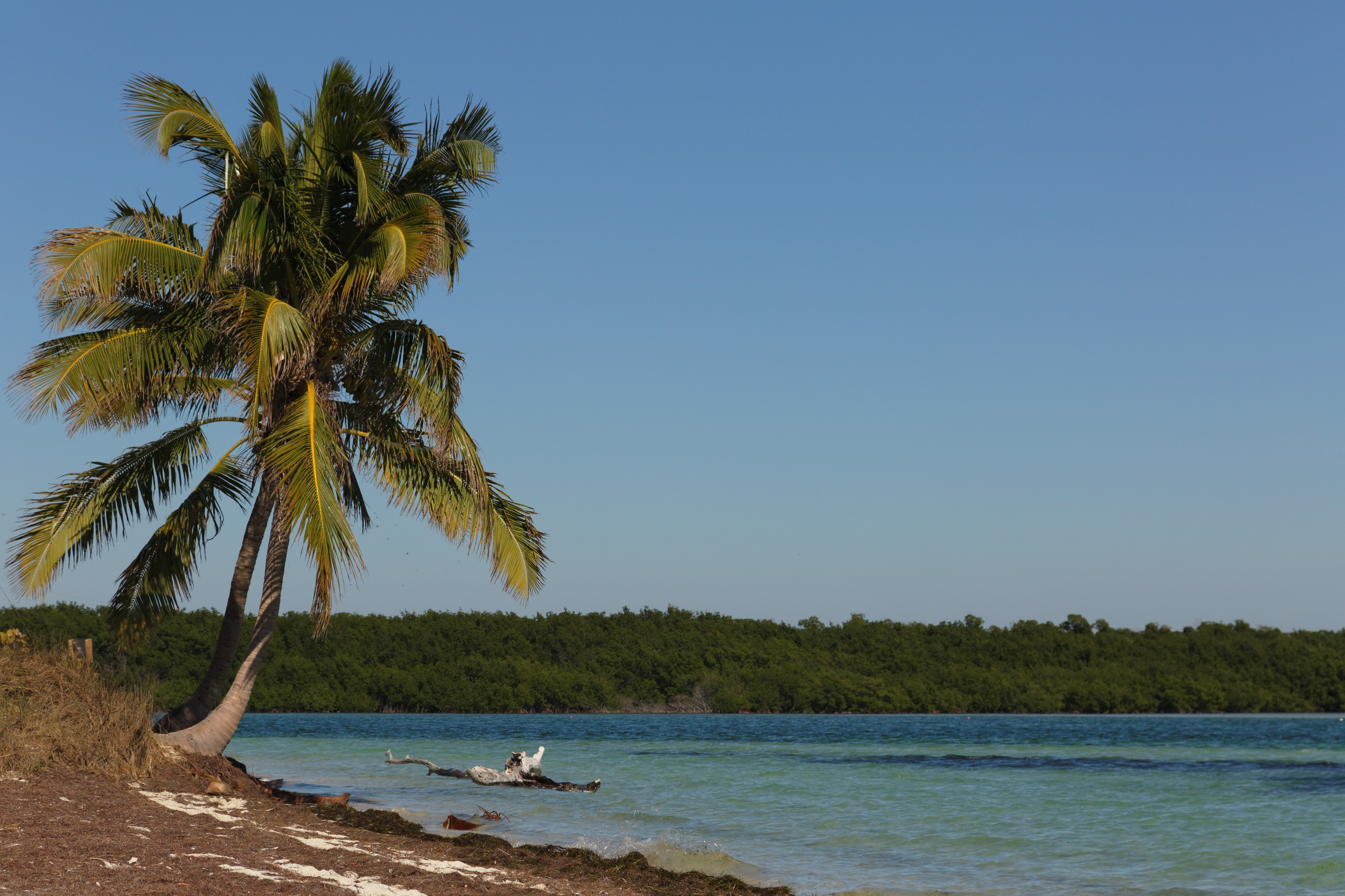 Bahia Honda Key