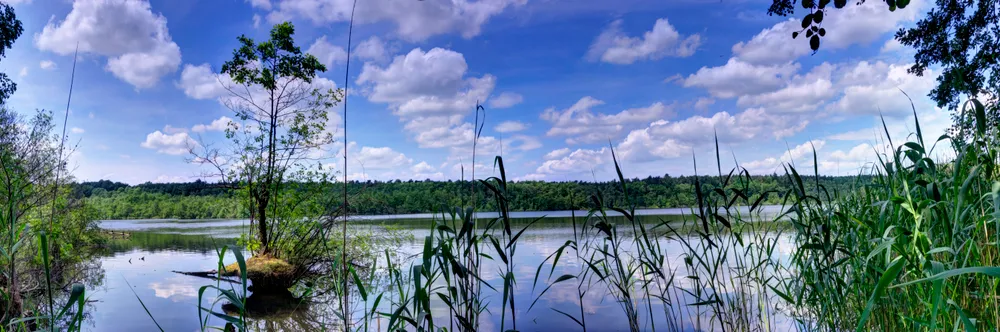 Herrensee