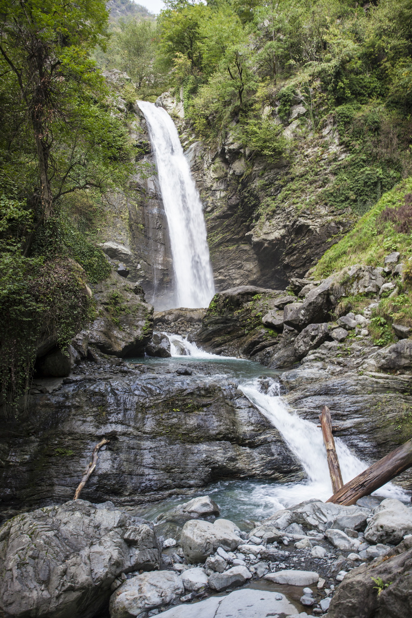 Lagodekhi Protected Areas